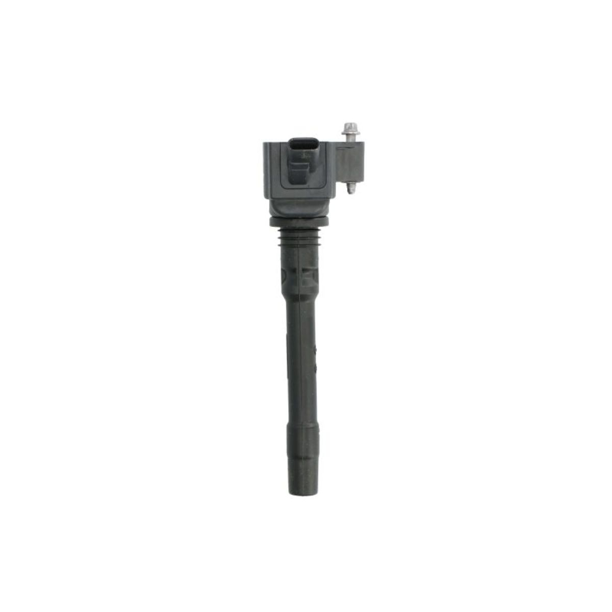 Image of Bobine