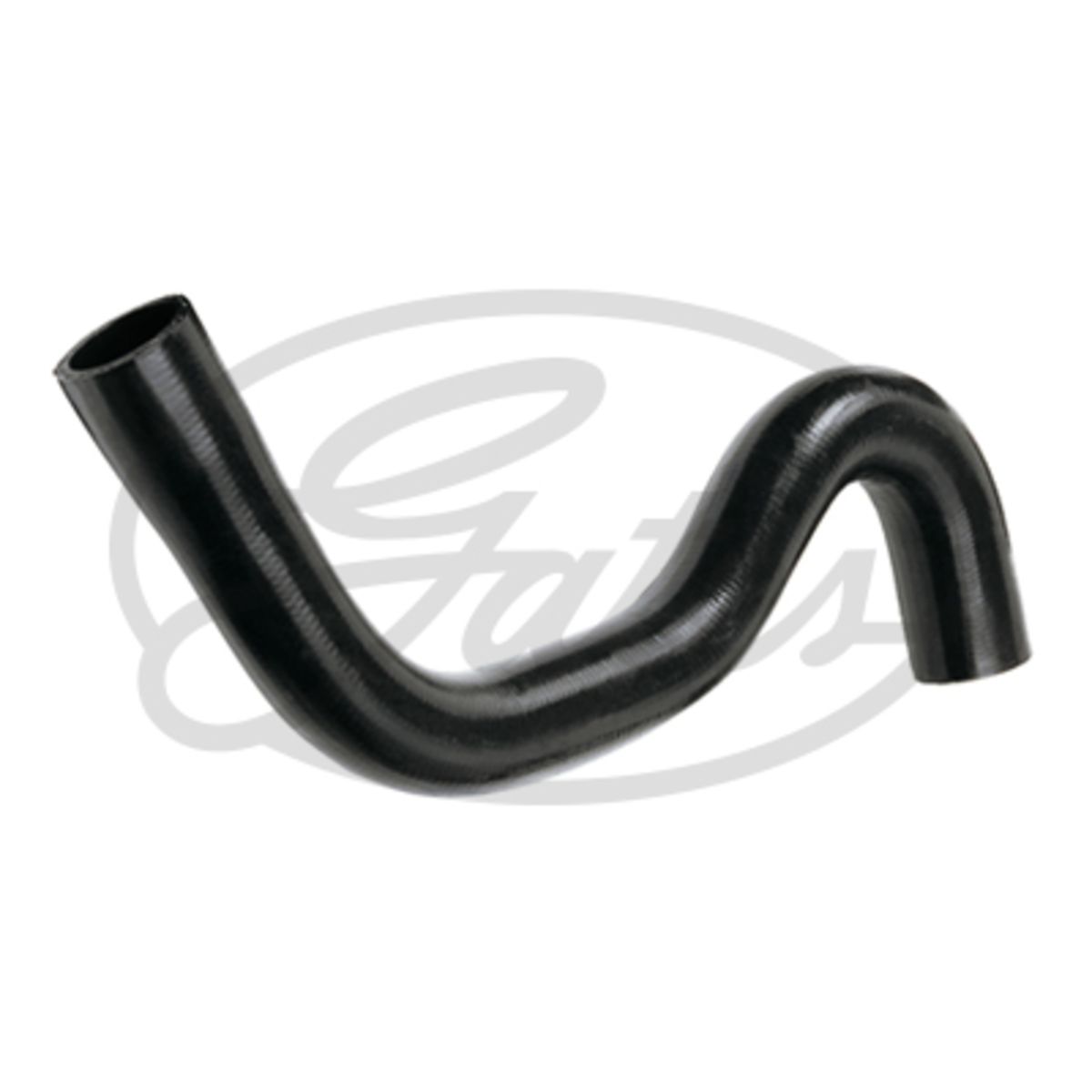 Image of Radiatorslang