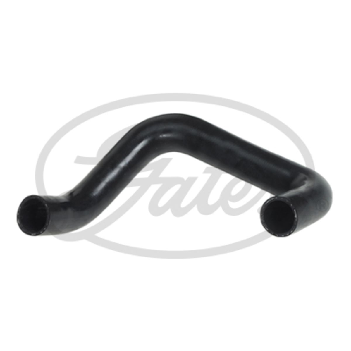 Image of Radiatorslang