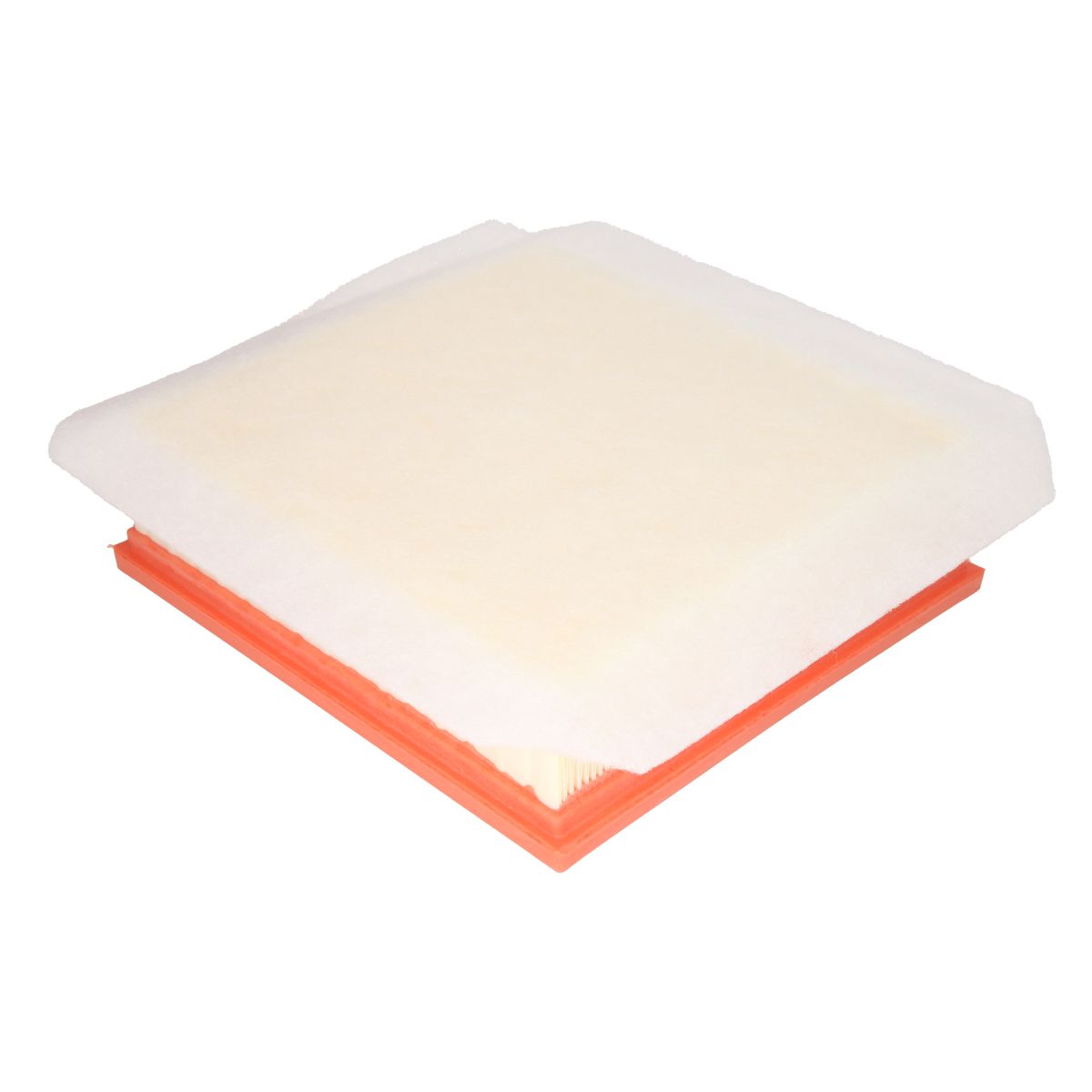Filtro aria FILTRON AP072/4