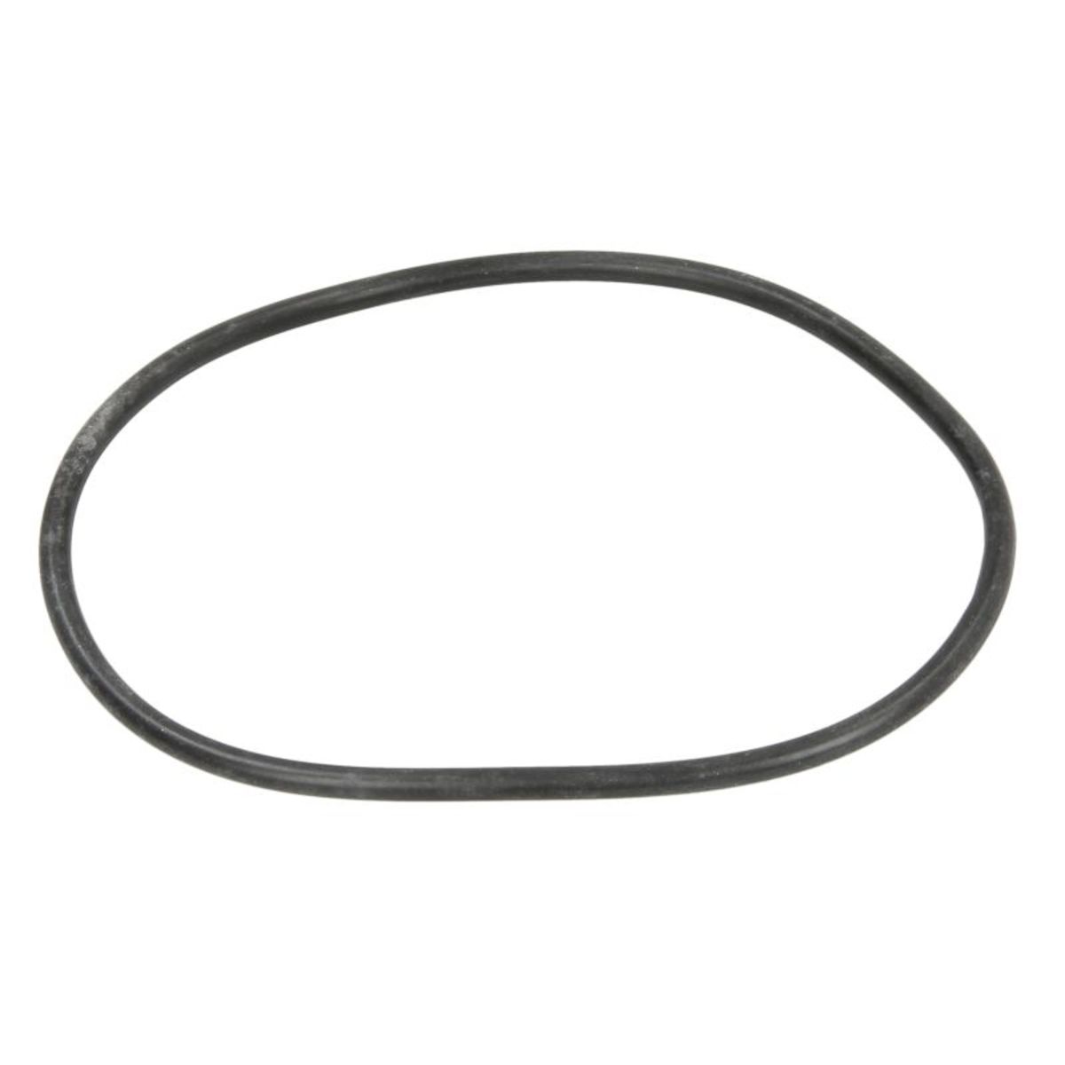 Euroricambi Getriebe O-Ring 95534676