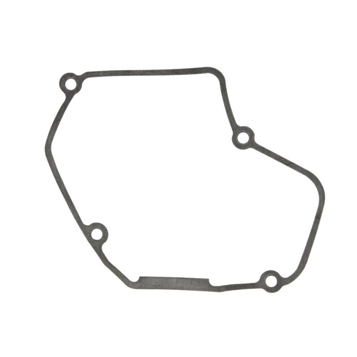 Generatordeckeldichtung WINDEROSA 817244