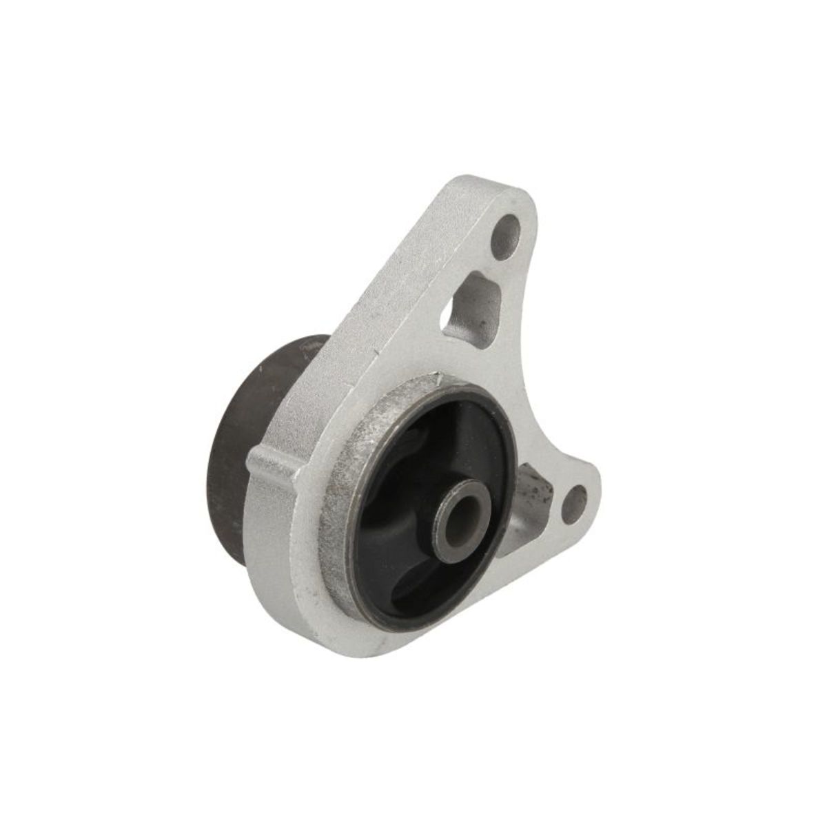 Für DELPHI TEM194 Mounting, manual transmission TEM194 Rear axle brackets front - Bild 8
