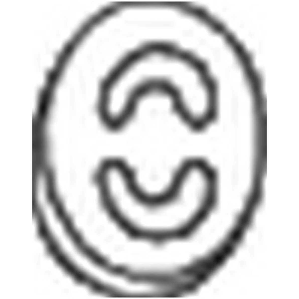 Image of Rubberstrip, uitlaatsysteem  255-361