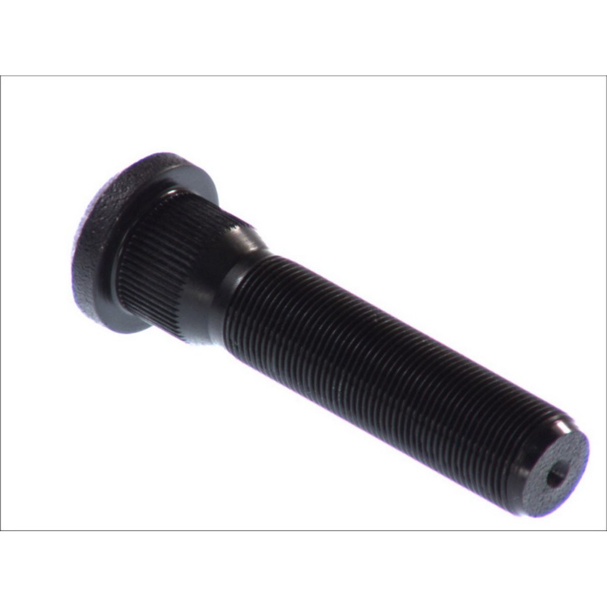 Image of Wielbout  40010