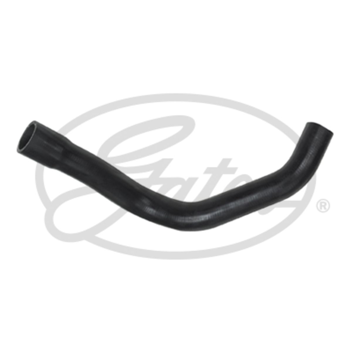 Image of Radiatorslang
