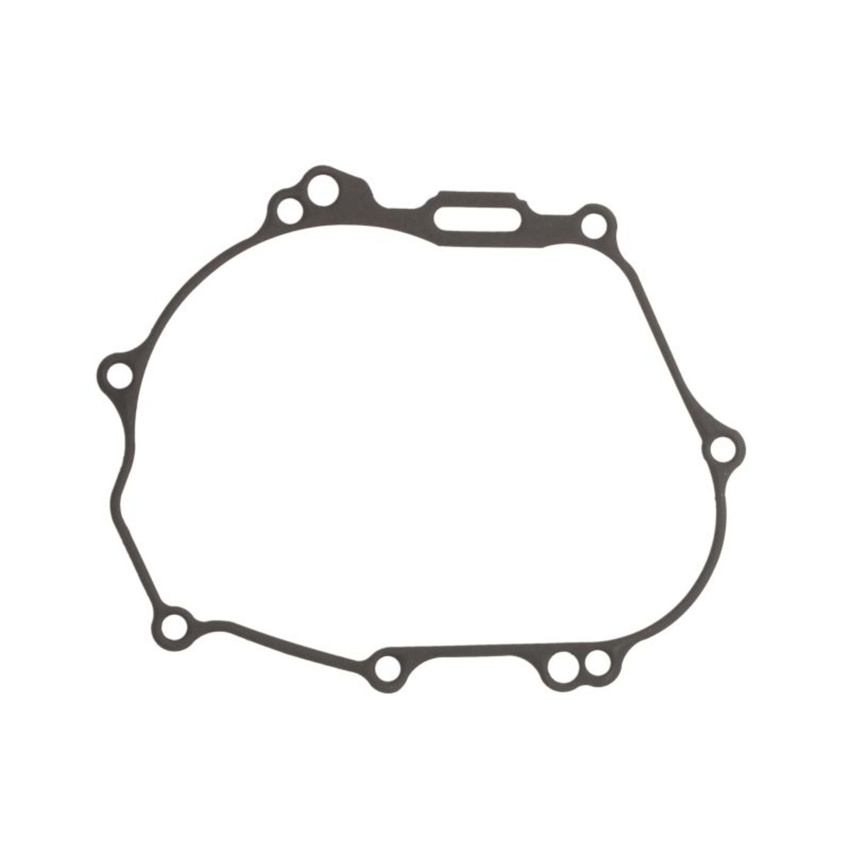 Generatordeckeldichtung WINDEROSA 816288