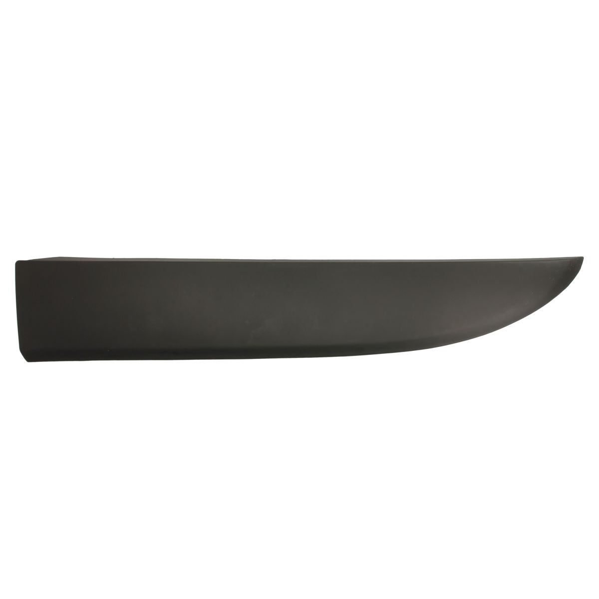 Image of Spatbordafwerking/beschermstrip