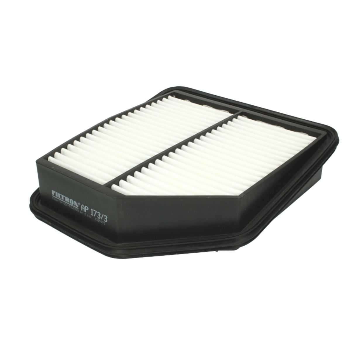 Filtron Filtro Aria Ap173/3