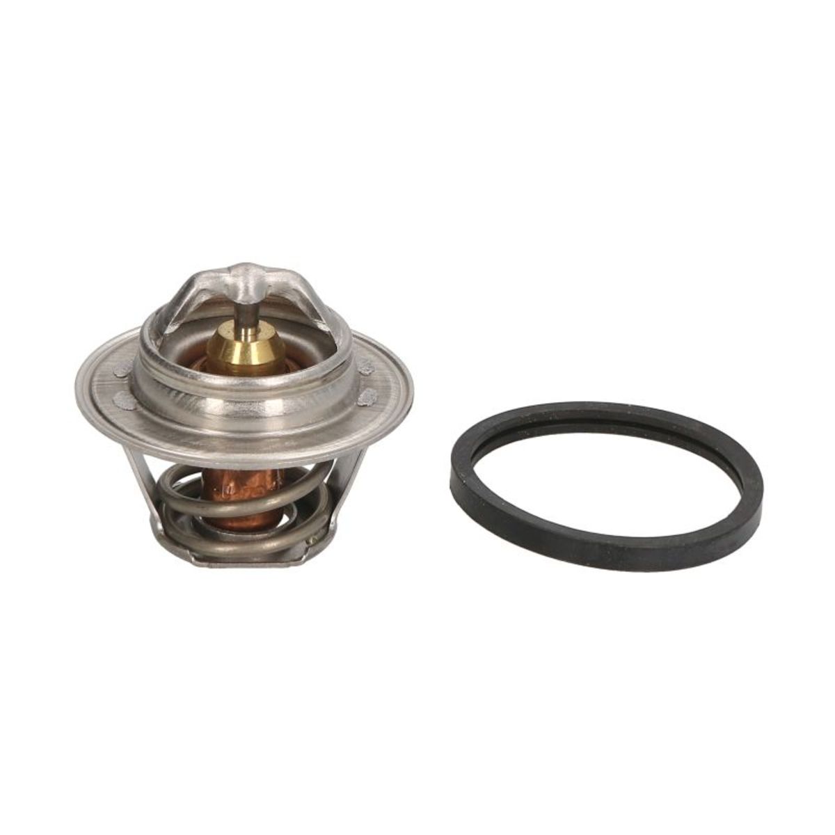 Thermostat d'eau CALORSTAT BY VERNET TH4898.82J