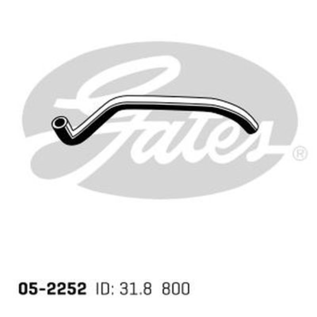 Image of Radiateurslang