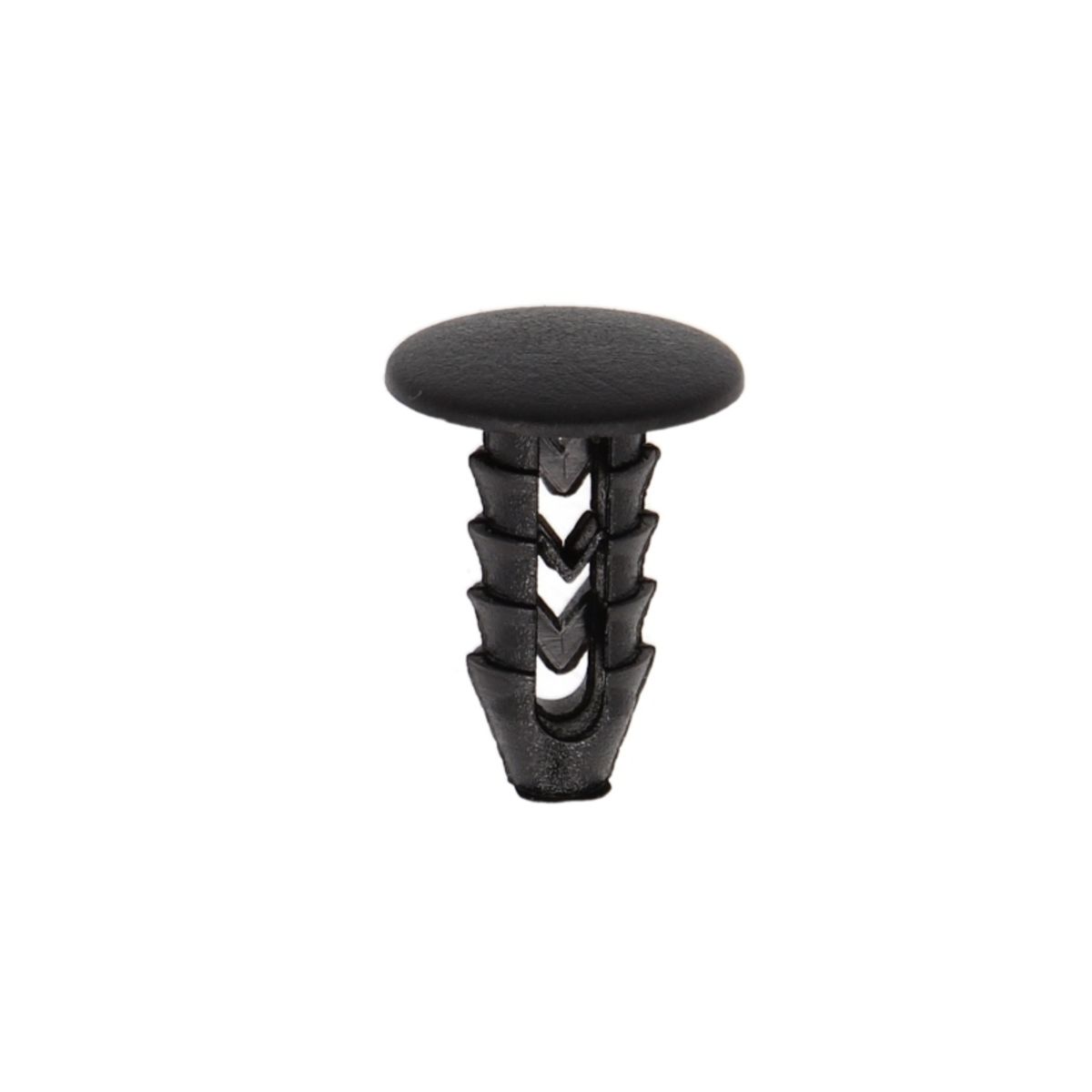 Image of Clip  , 25 Stuk