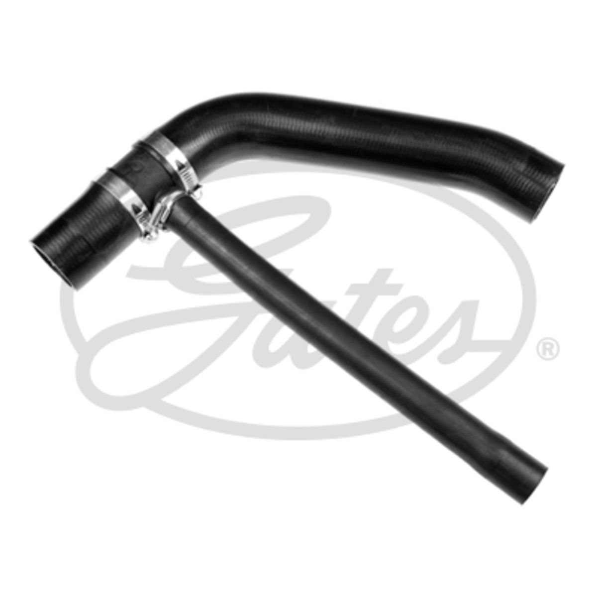 Image of Radiatorslang