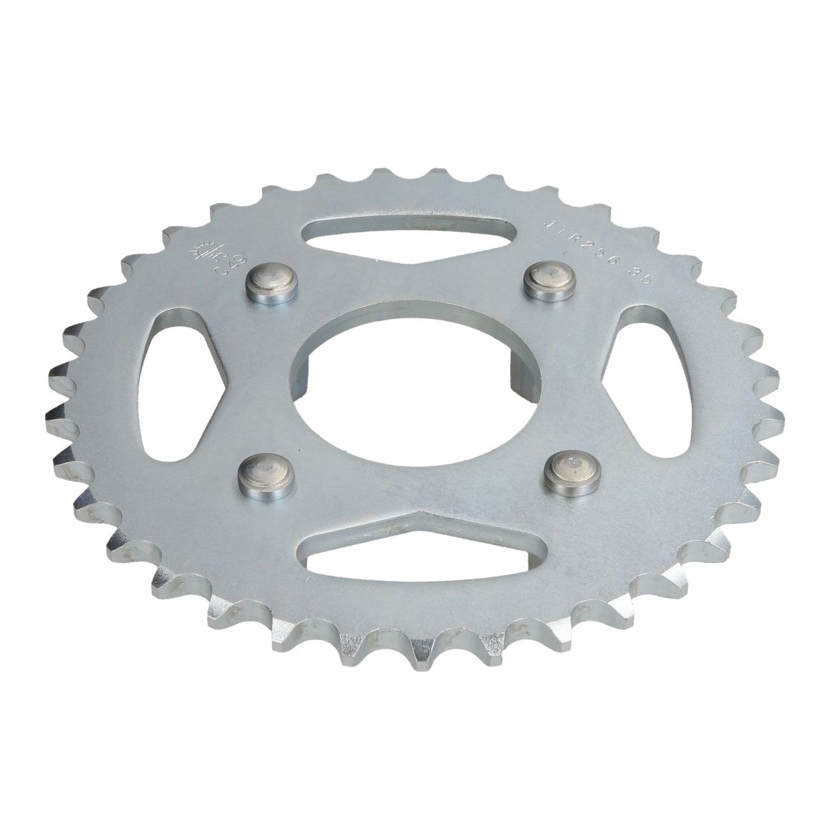 Pignone posteriore JTR 256,35