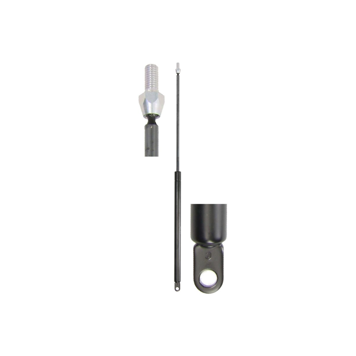 Gasfeder, Koffer-/Laderaum STABILUS STA052736
