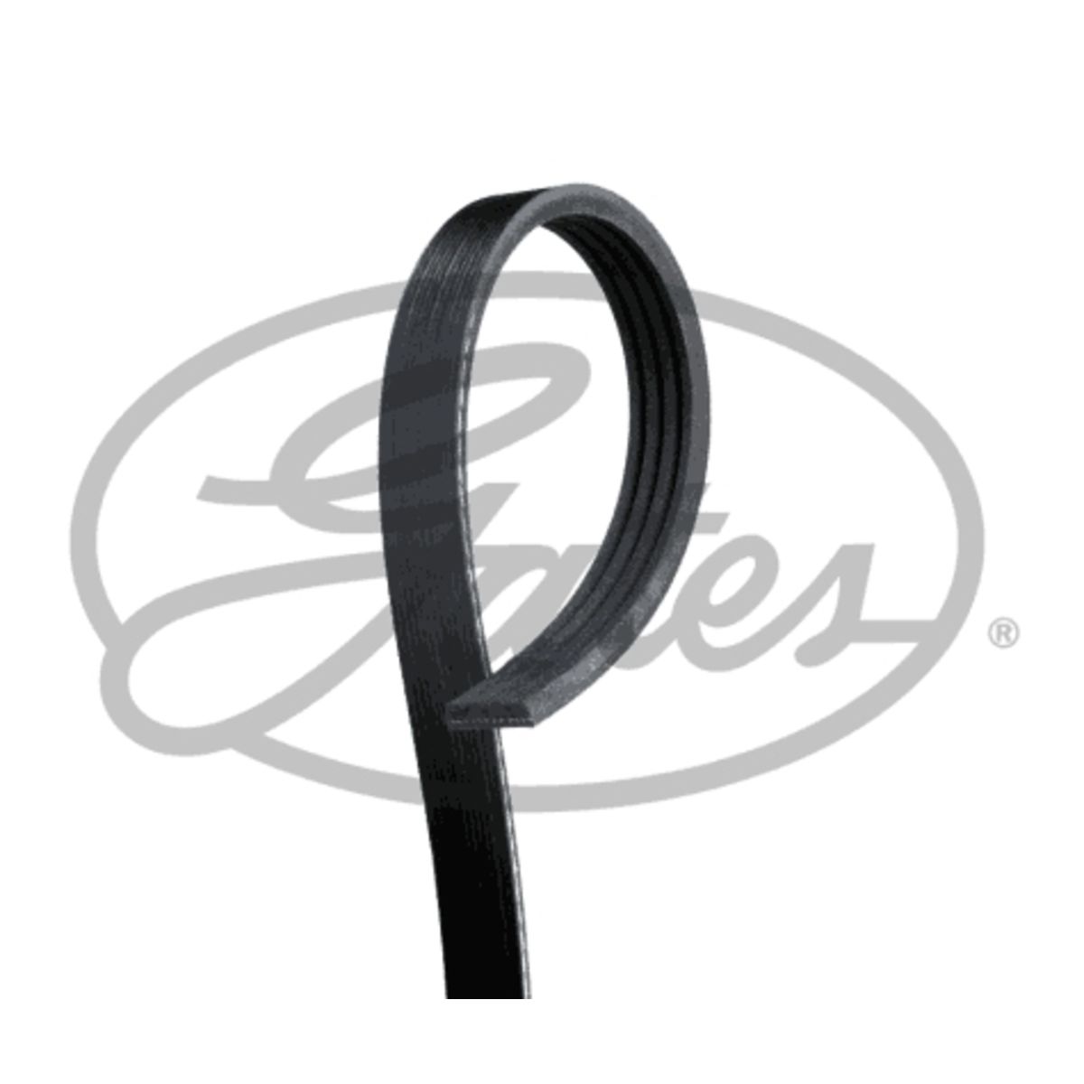 Image of V-riem