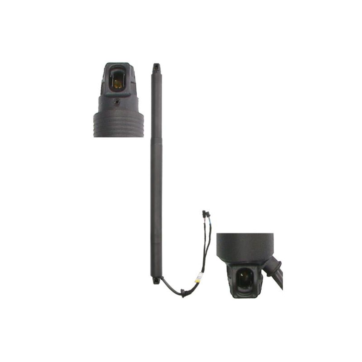 Gasfeder, Einlegeboden (Koffer-/Laderaum) MAGNUM TECHNOLOGY MGS0195MT