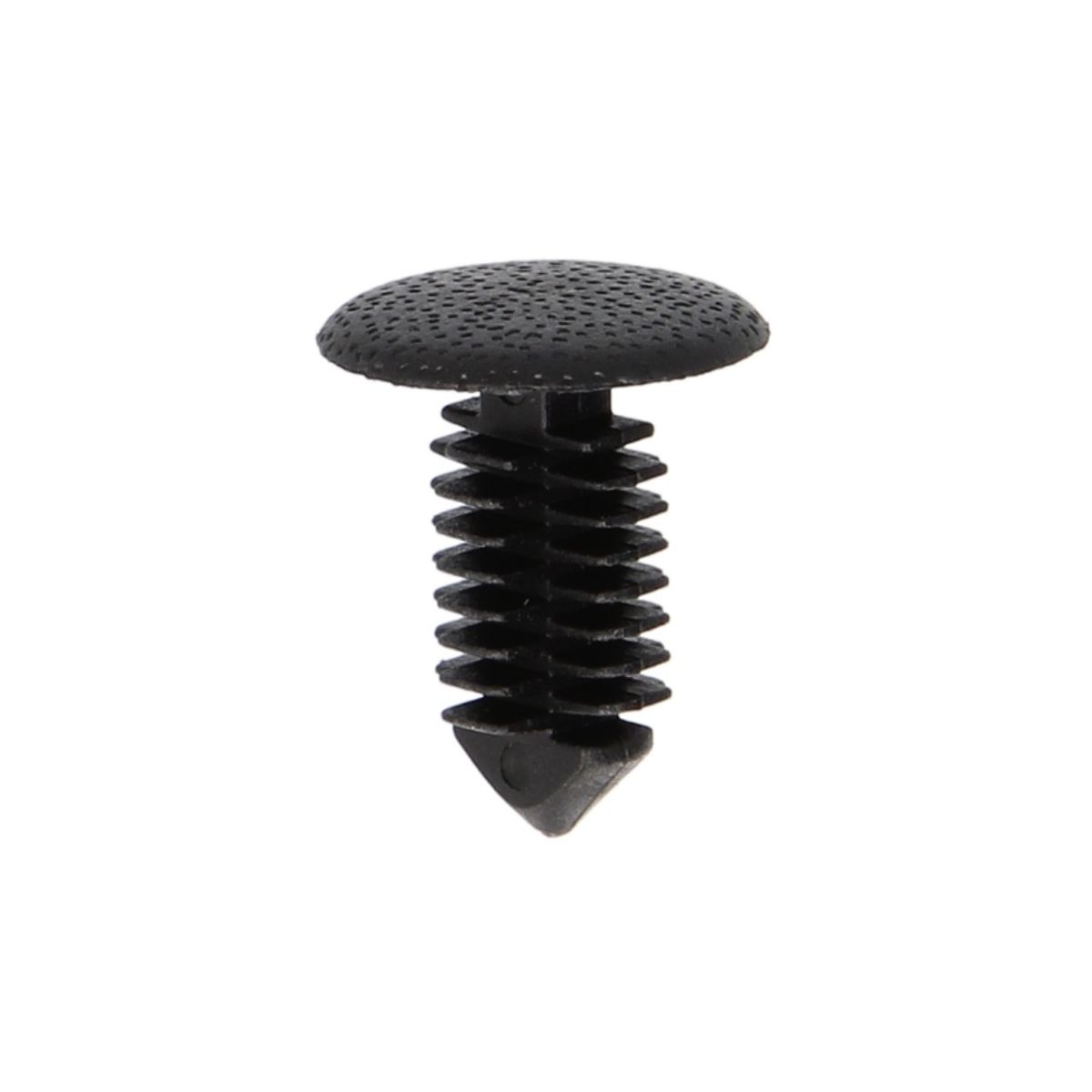 Image of Clip  , 10 Stuk
