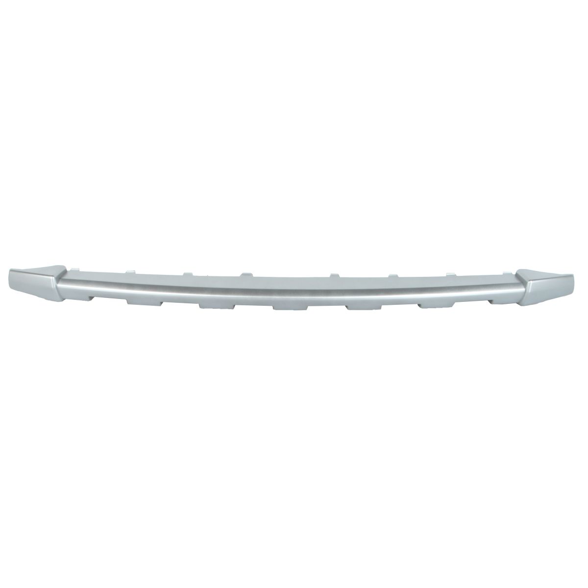 Sierlijst/beschermstrip, bumper BLIC 6502-07-1302920P