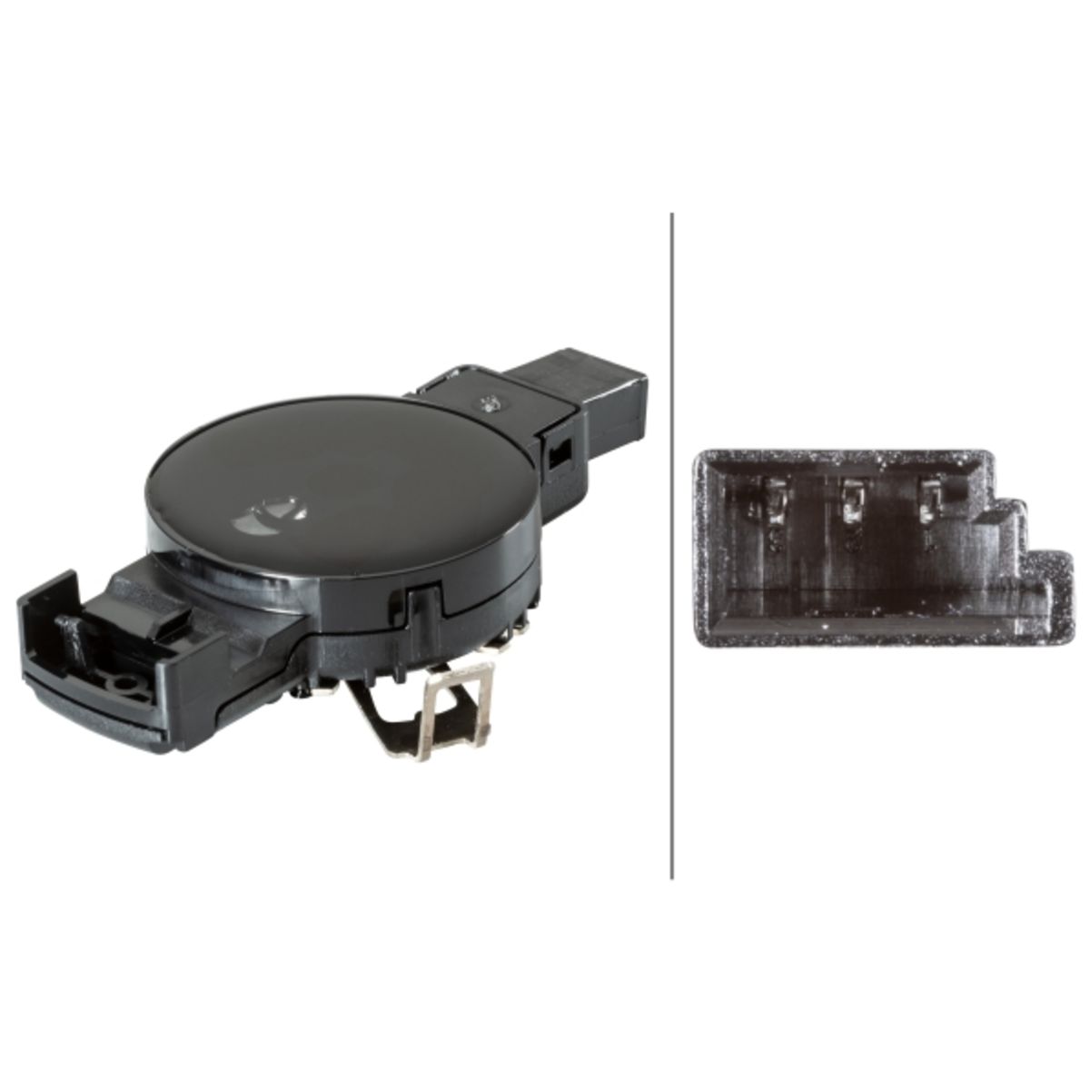 Image of Regensensor
