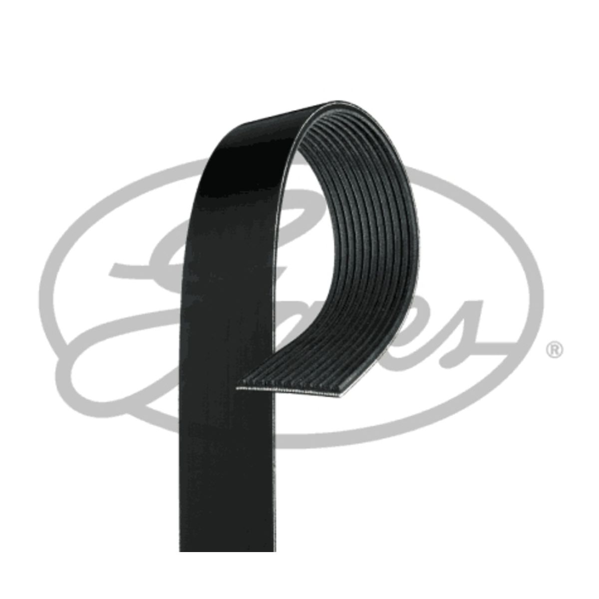 Image of Poly V-riem  GAT