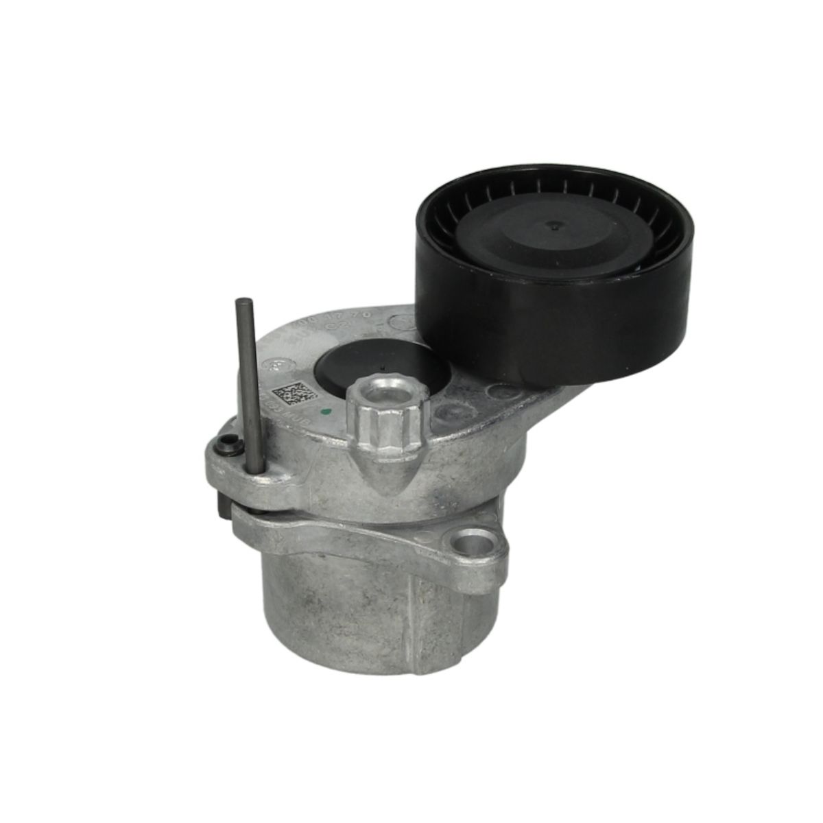 Image of Spanpoelie, V-riem