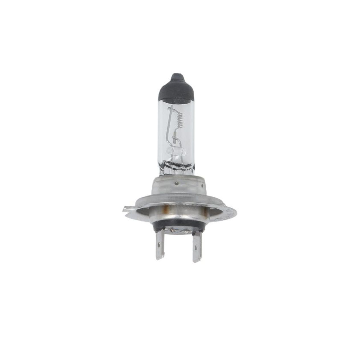 Image of H7 lamp