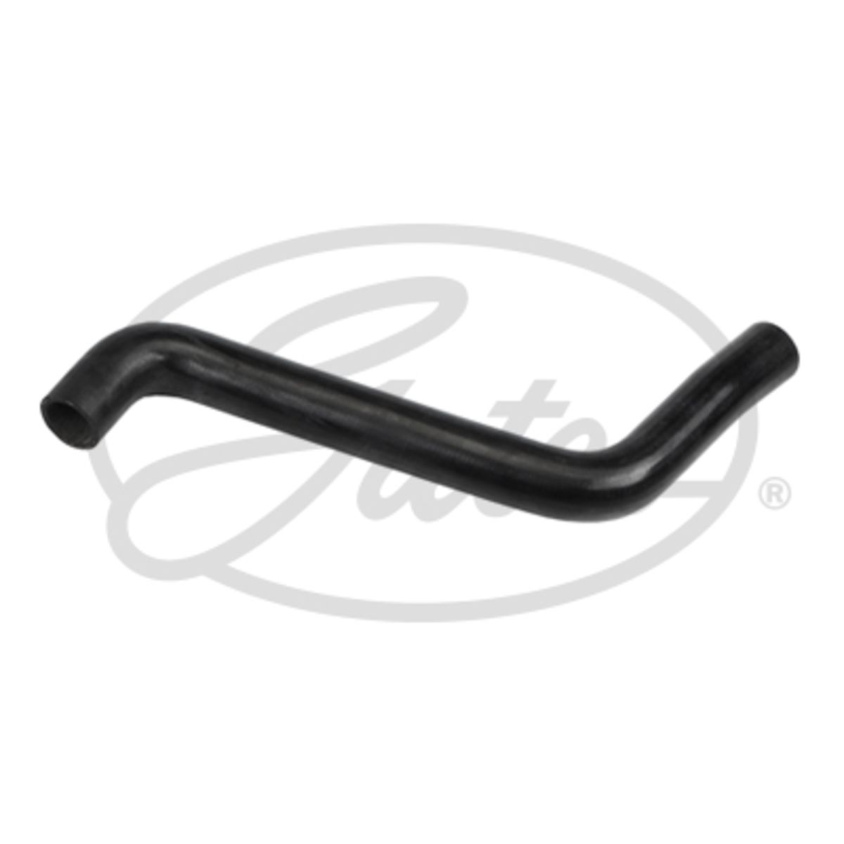 Image of Radiatorslang