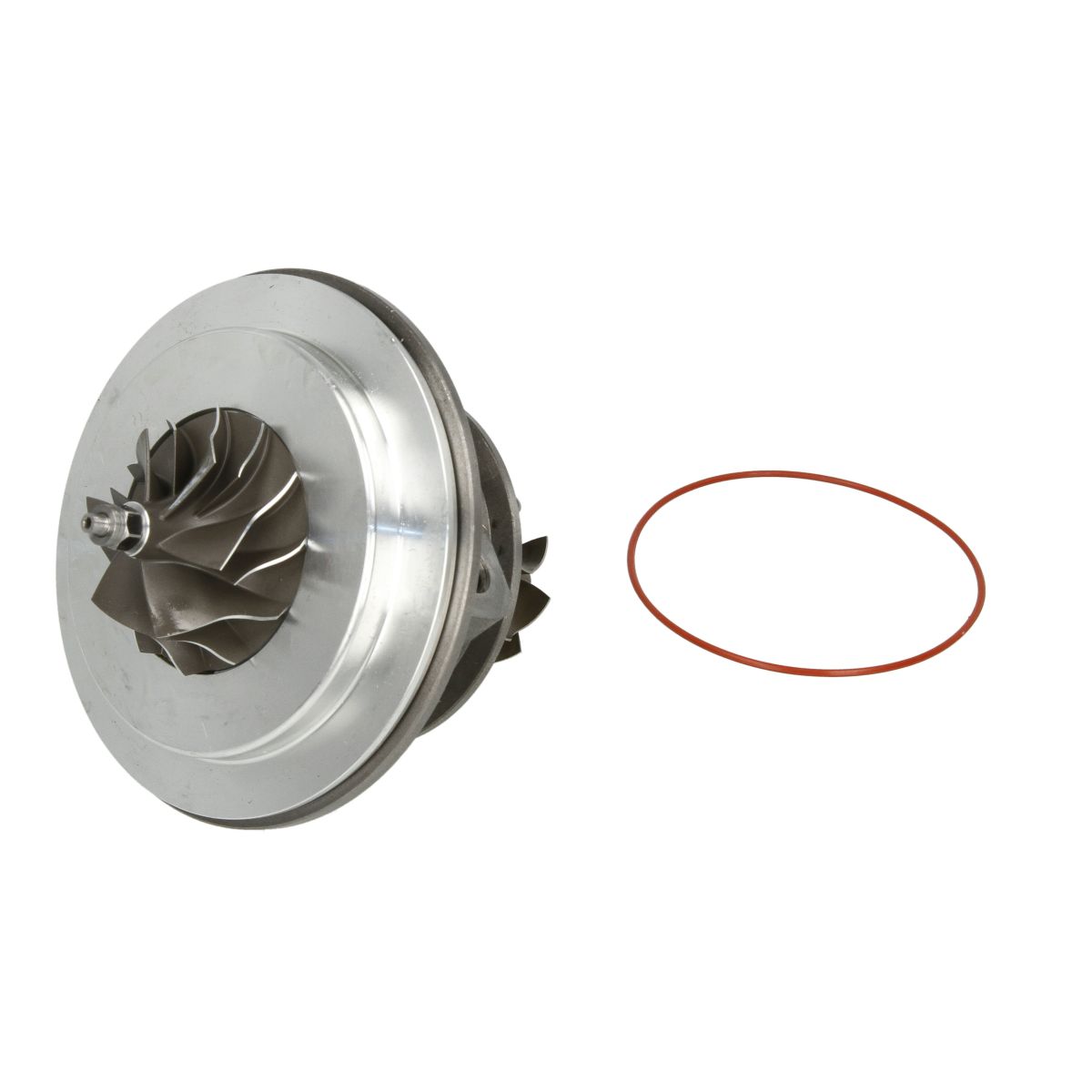 Image of Patroon / CHRA / kernassemblage