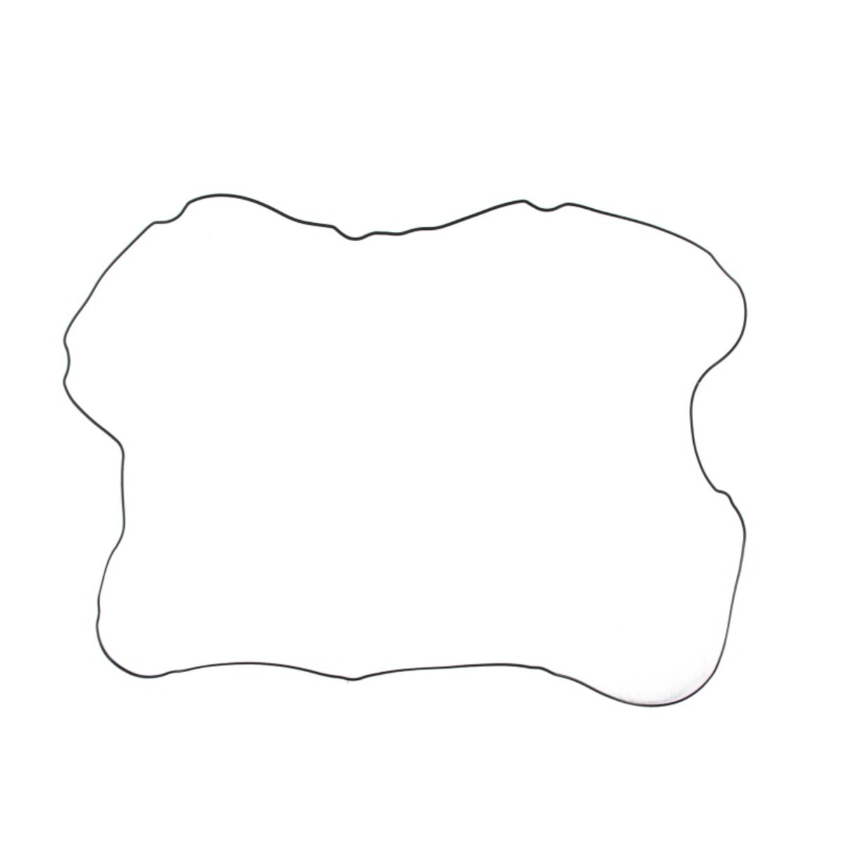 Image of Pakking, inlaatspruitstuk