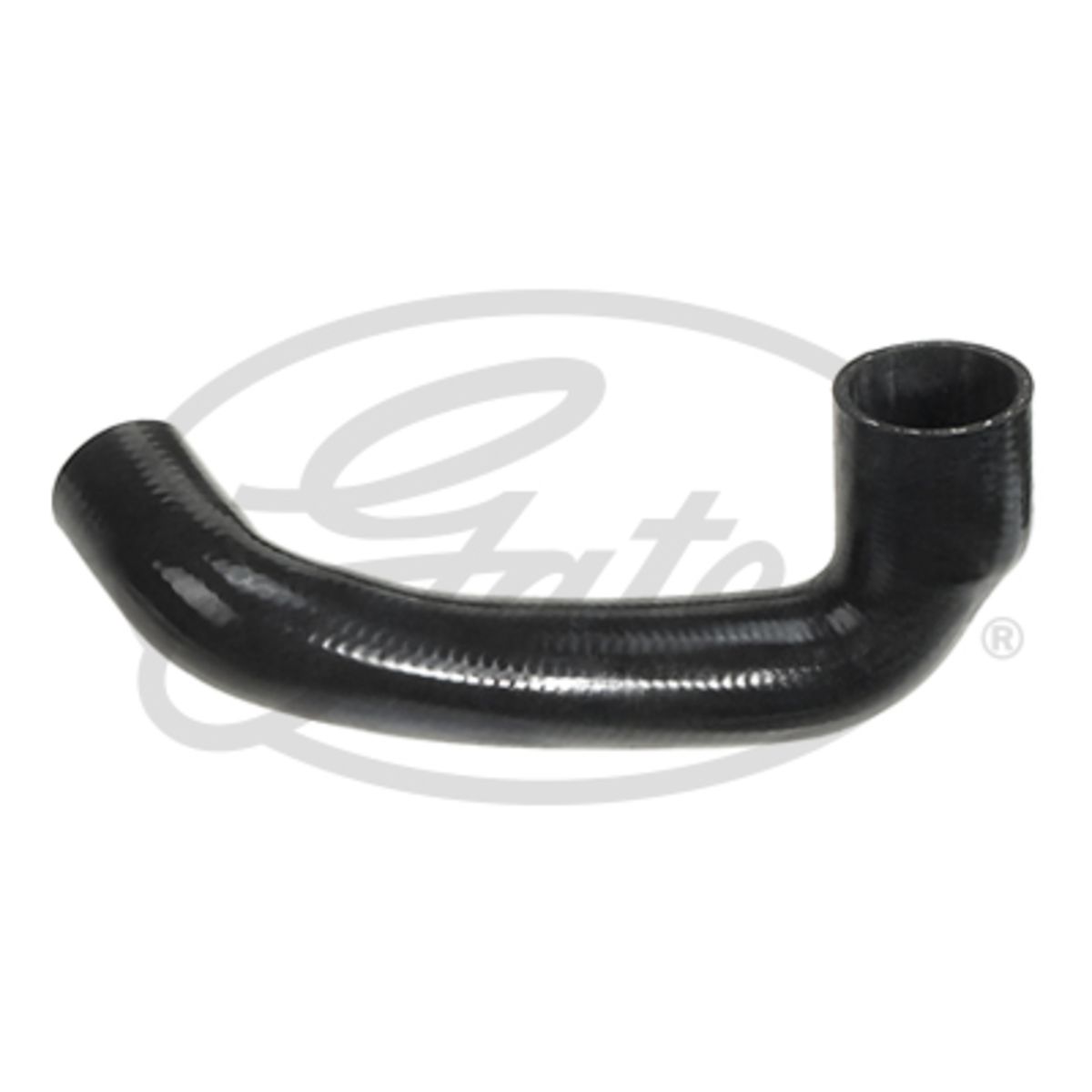 Image of Radiatorslang