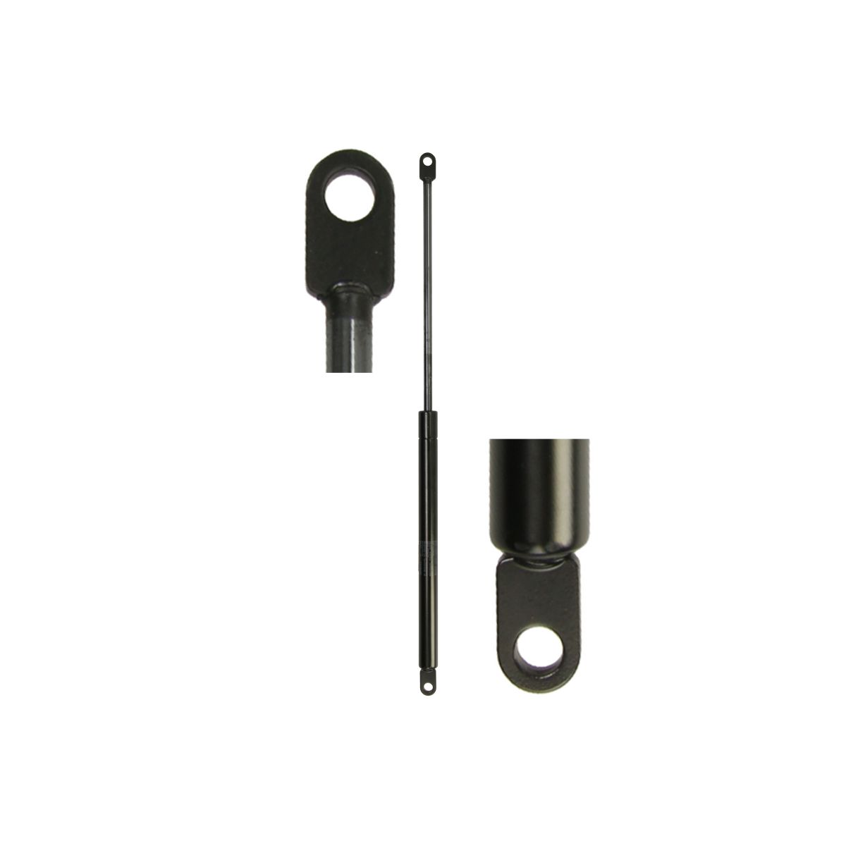 Gasfeder, Koffer-/Laderaum STABILUS STA084573