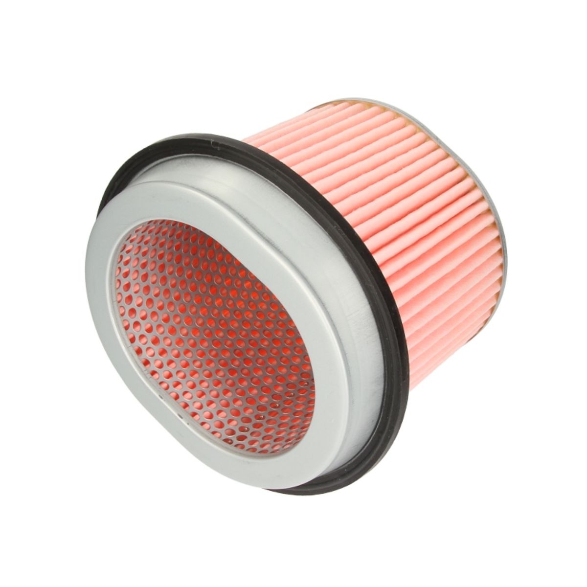 Filtron Filtro Aria Am433