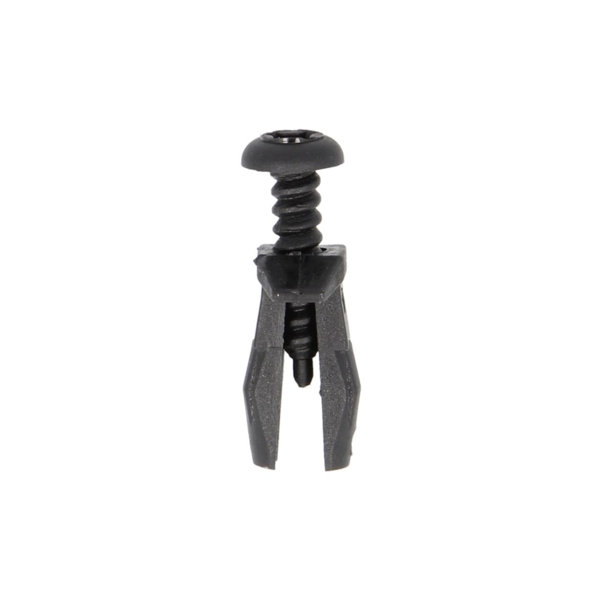 Image of Clip  , 10 Stuk