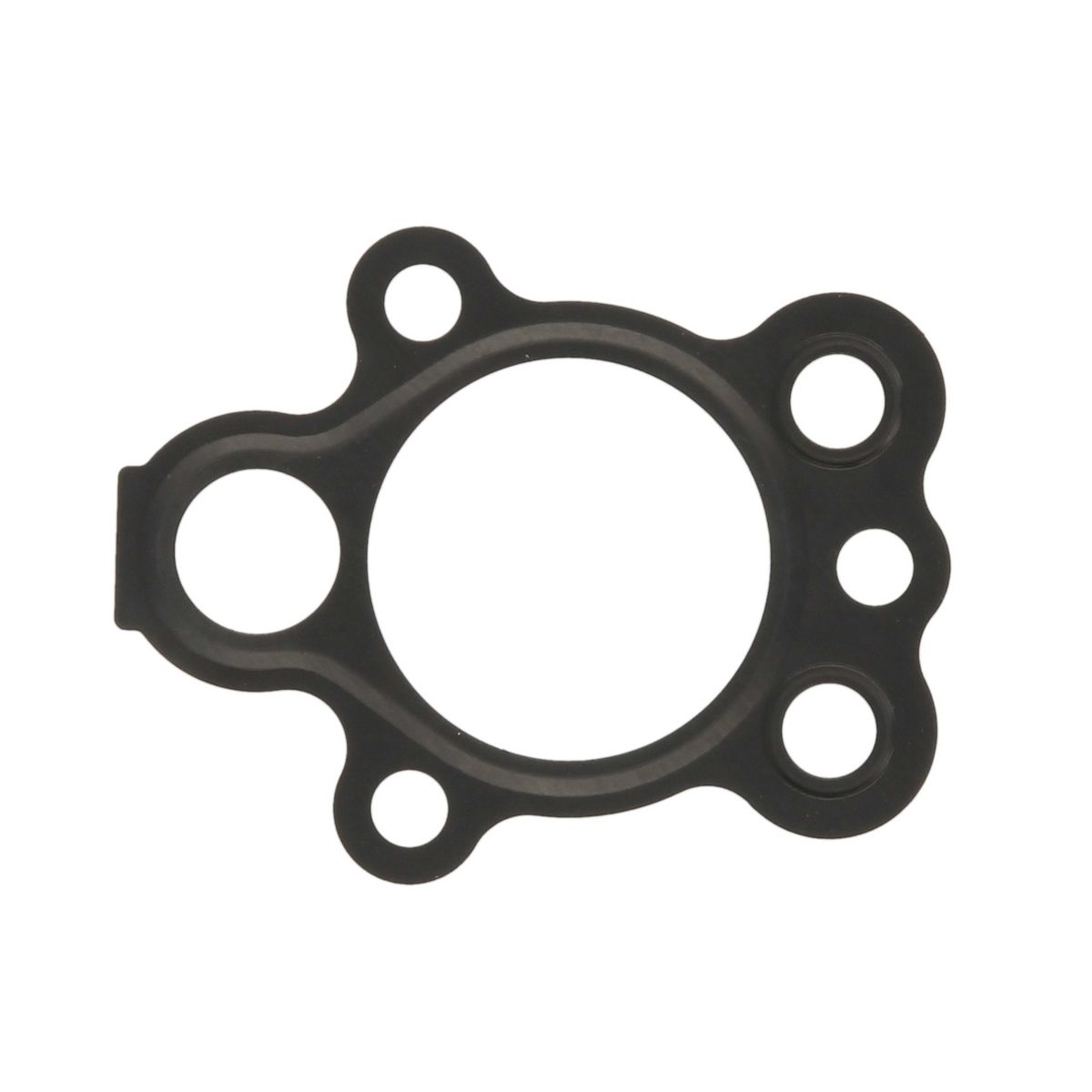 Image of Pakking, oliepomp