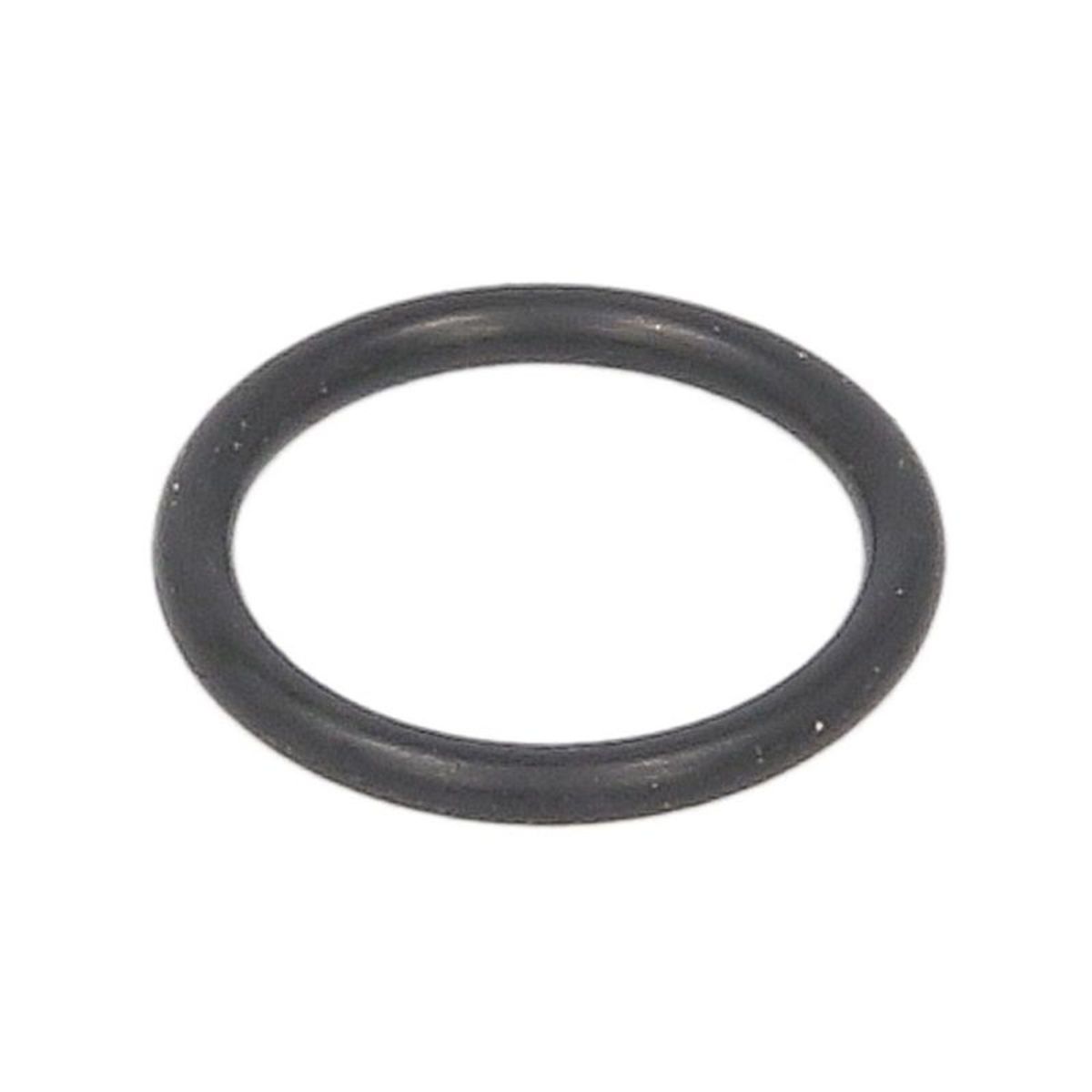 Anello di gomma 1 460 210 321 BOSCH - Immagine 2