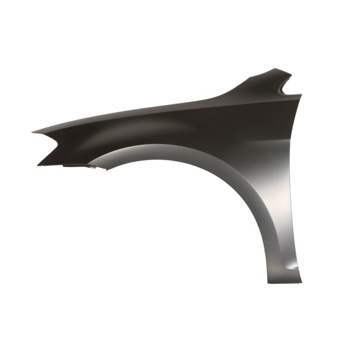 Blic Parafango 6504-04-9550311Q, Sinistro