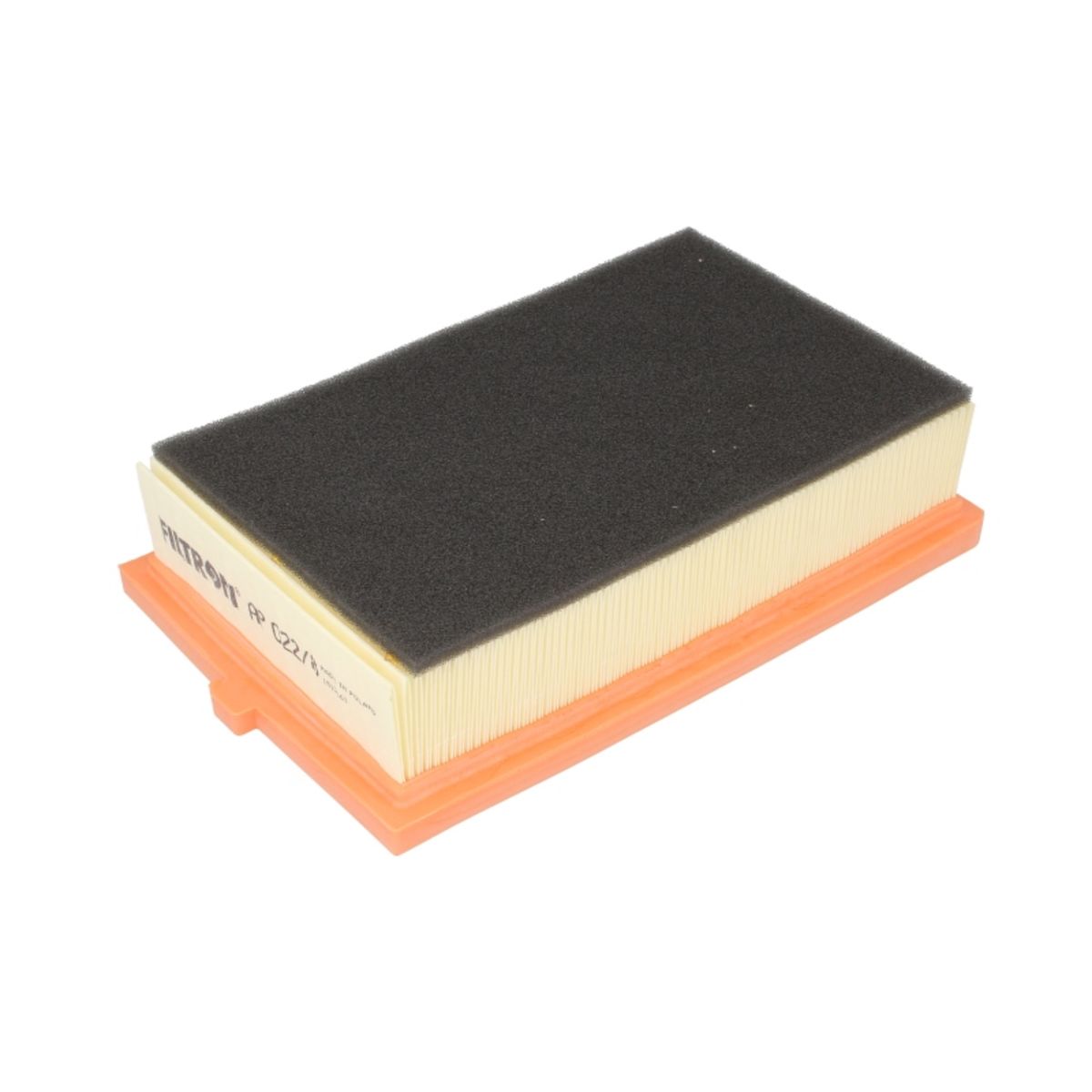 Filtron Filtro Aria Ap022/8