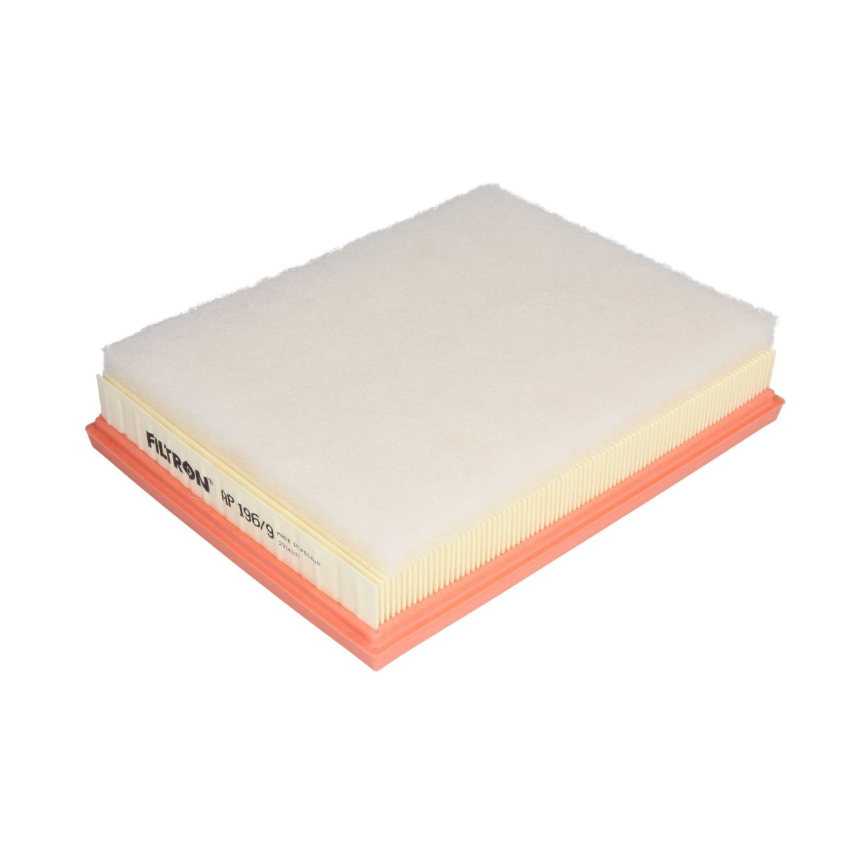 Filtron Filtro Aria Ap 196/9