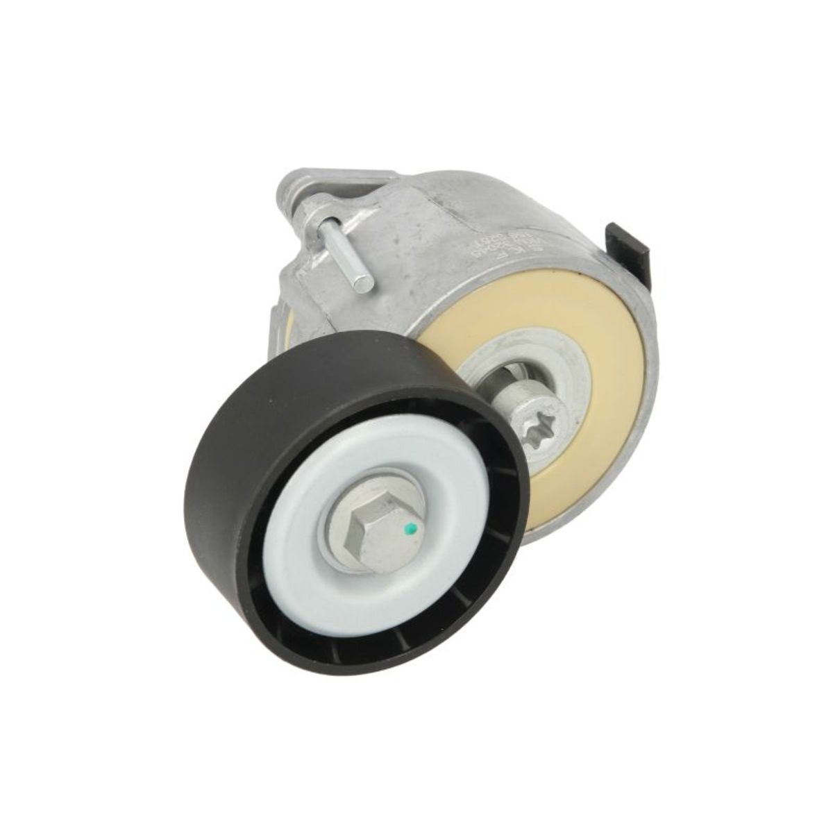 Image of Spanpoelie, V-riem