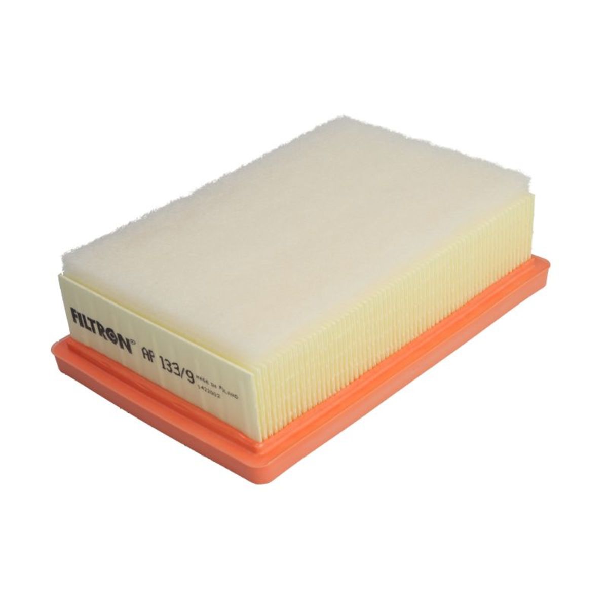 Filtron Filtro Aria Ap 133/9