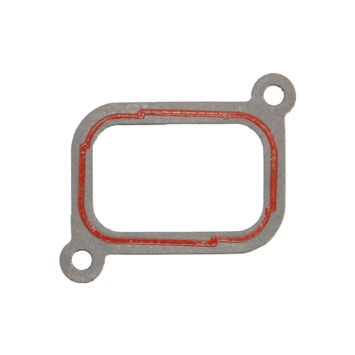 Reinz Pakking, Inlaatspruitstuk  71-41773-00