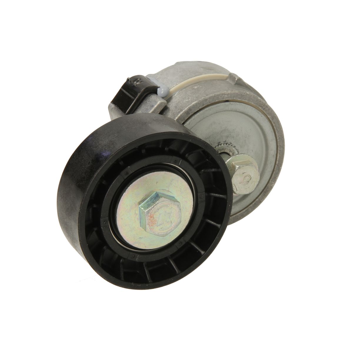 Image of Spanpoelie, V-riem