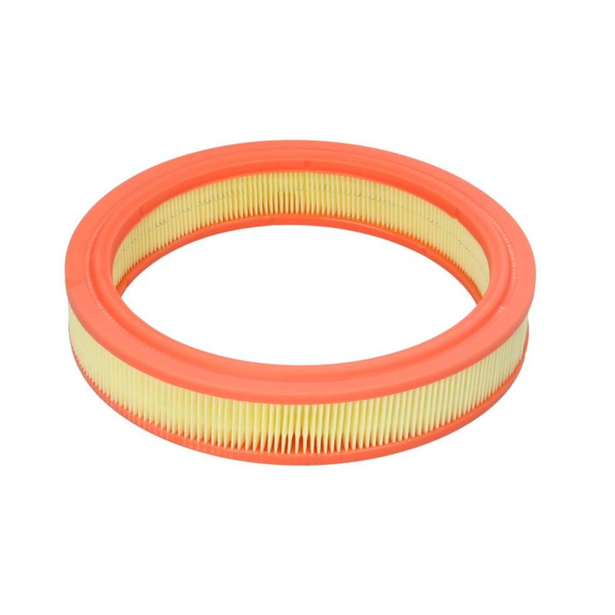 Filtron Filtro Aria Ar232