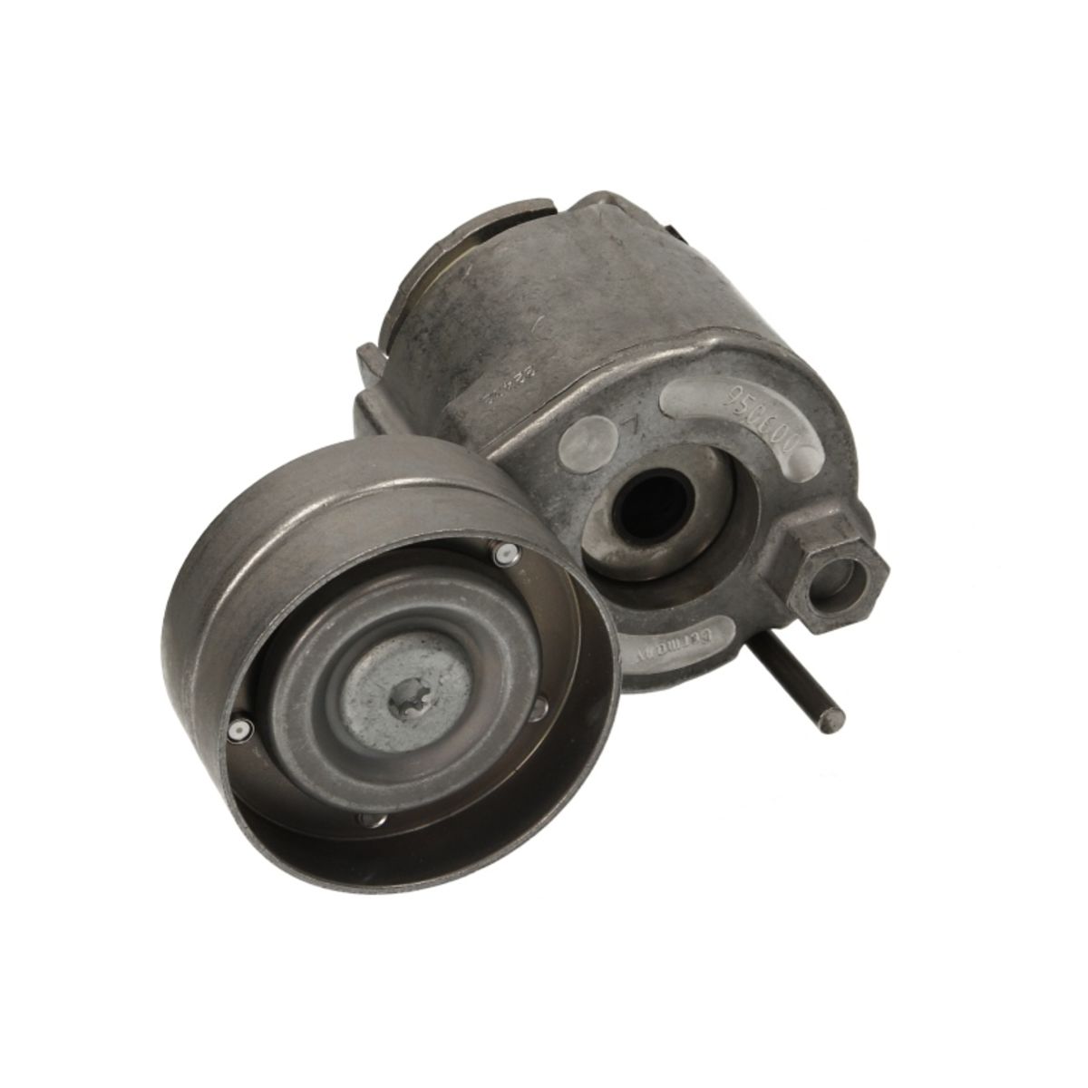 Image of Spanpoelie, V-riem