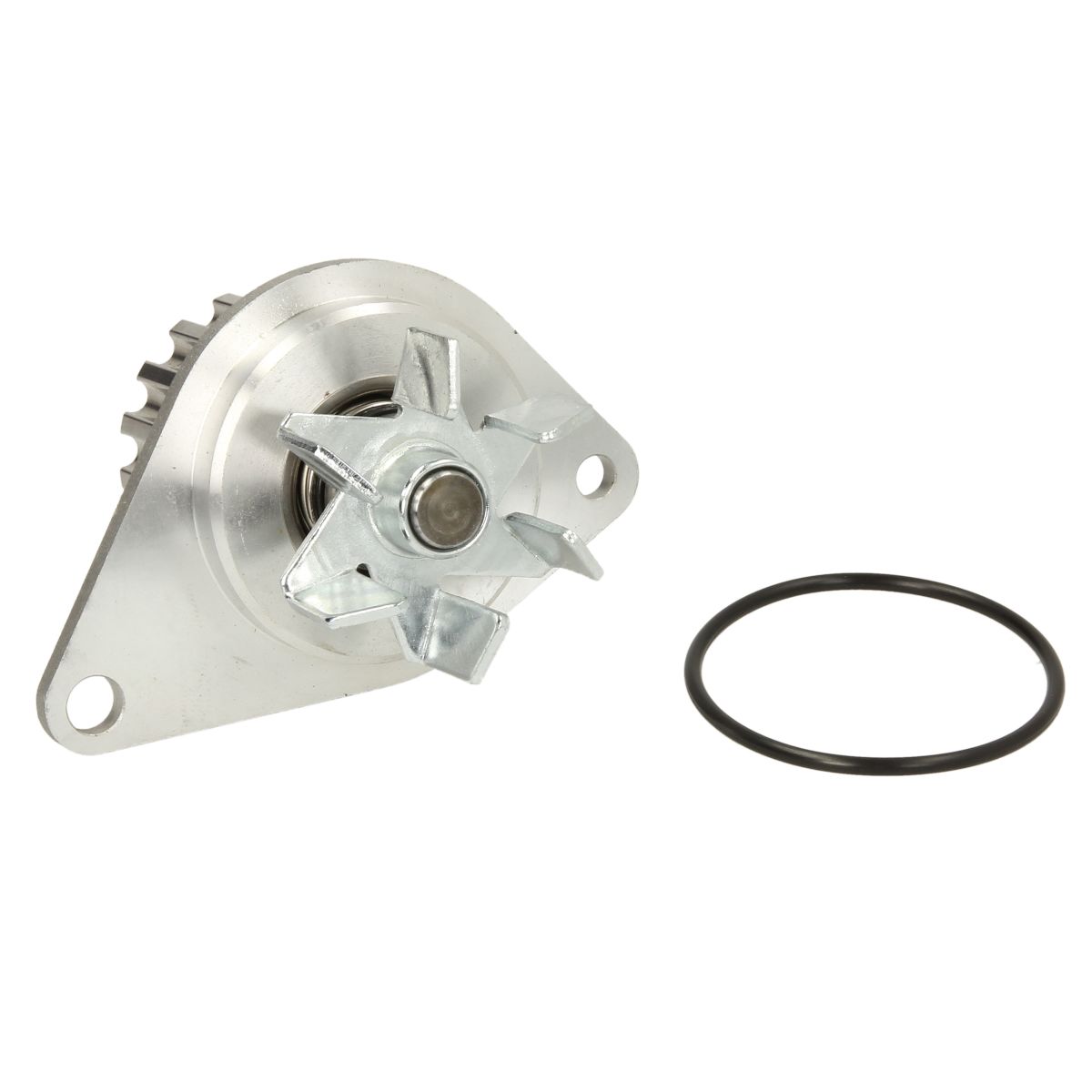 Thermotec Pompa Dell'acqua D1p038tt