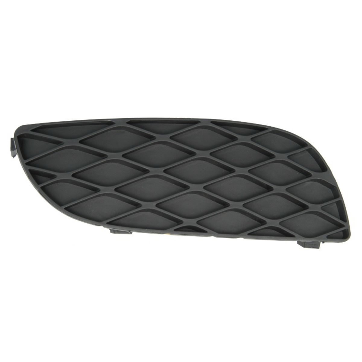 Moldura Protectora/decorativa, parachoques BLIC 6502-07-8109916P derecha