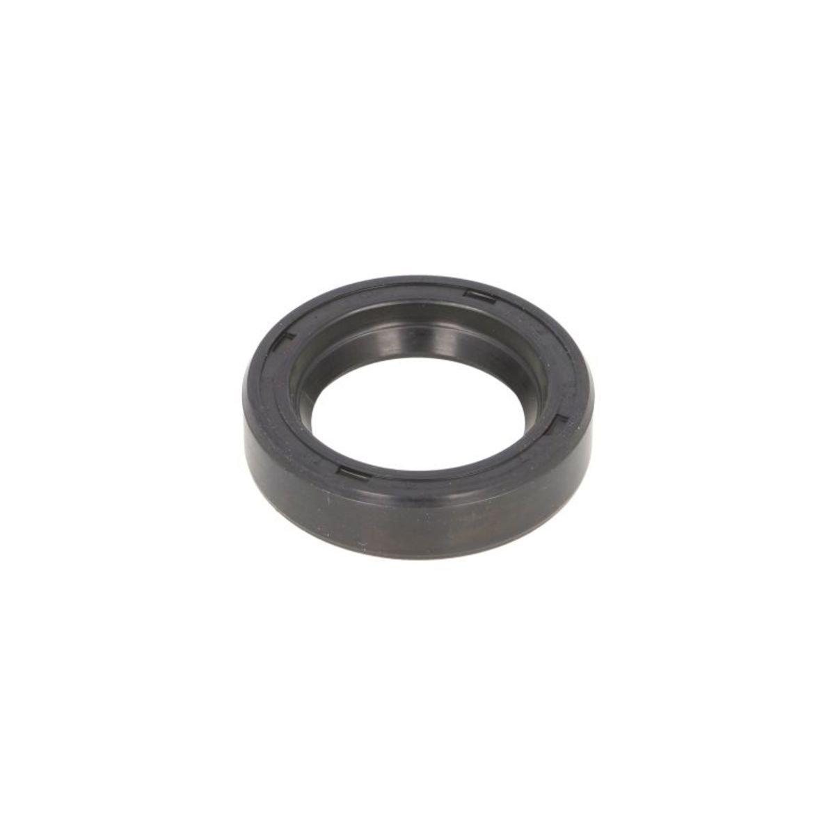 Dichtung RMS 10 066 4700