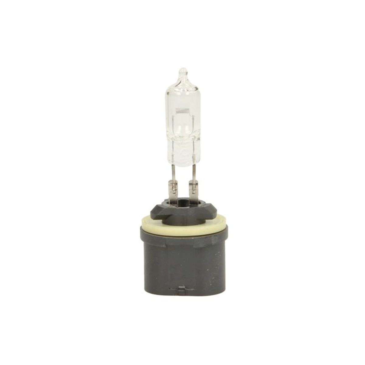 Image of Gloeilamp, interieurverlichting Pure Light WS