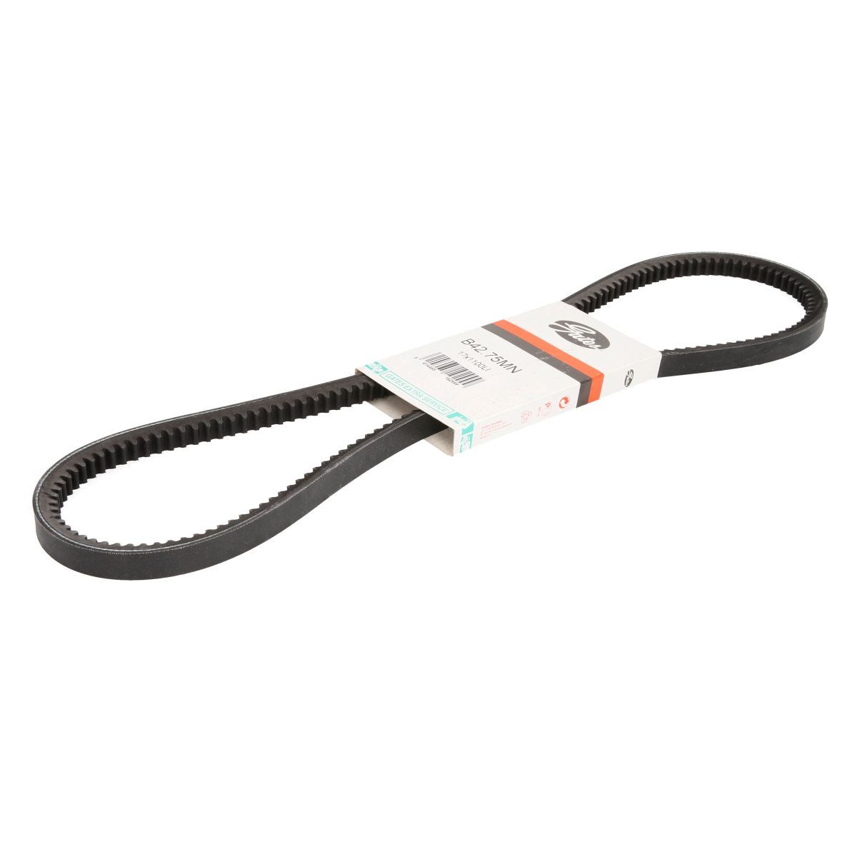 Image of V-riem  GAT